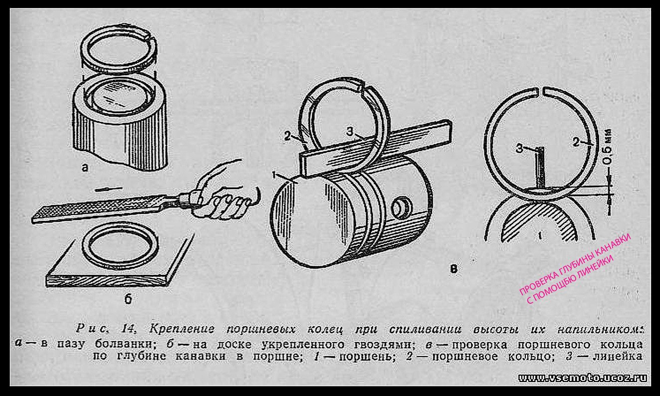 ссылка