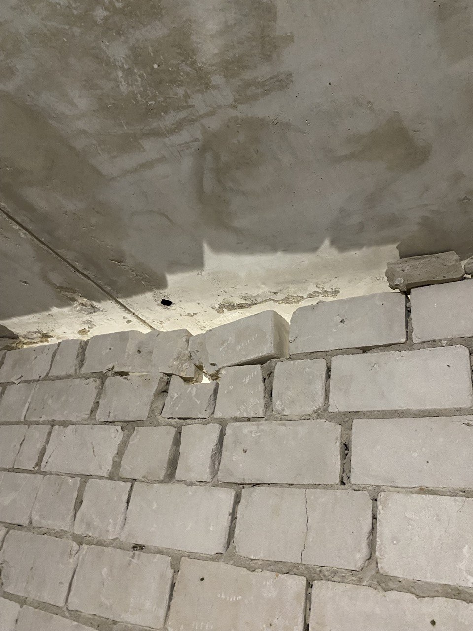 photo_2026-03-12_22-25-12