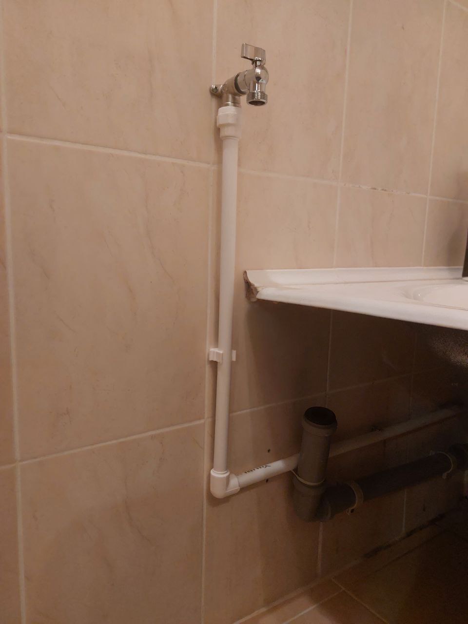 photo_2025-11-01_12-11-21