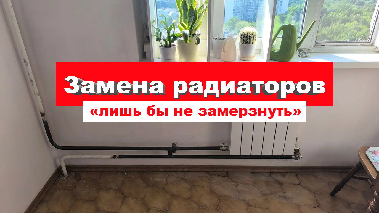 люби