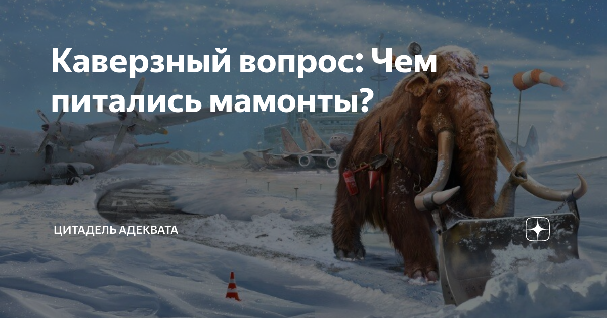 изображение_2026-08-23_152729333