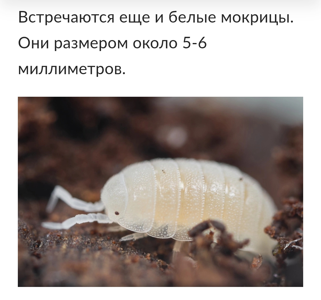 Screenshot_20251230-210400