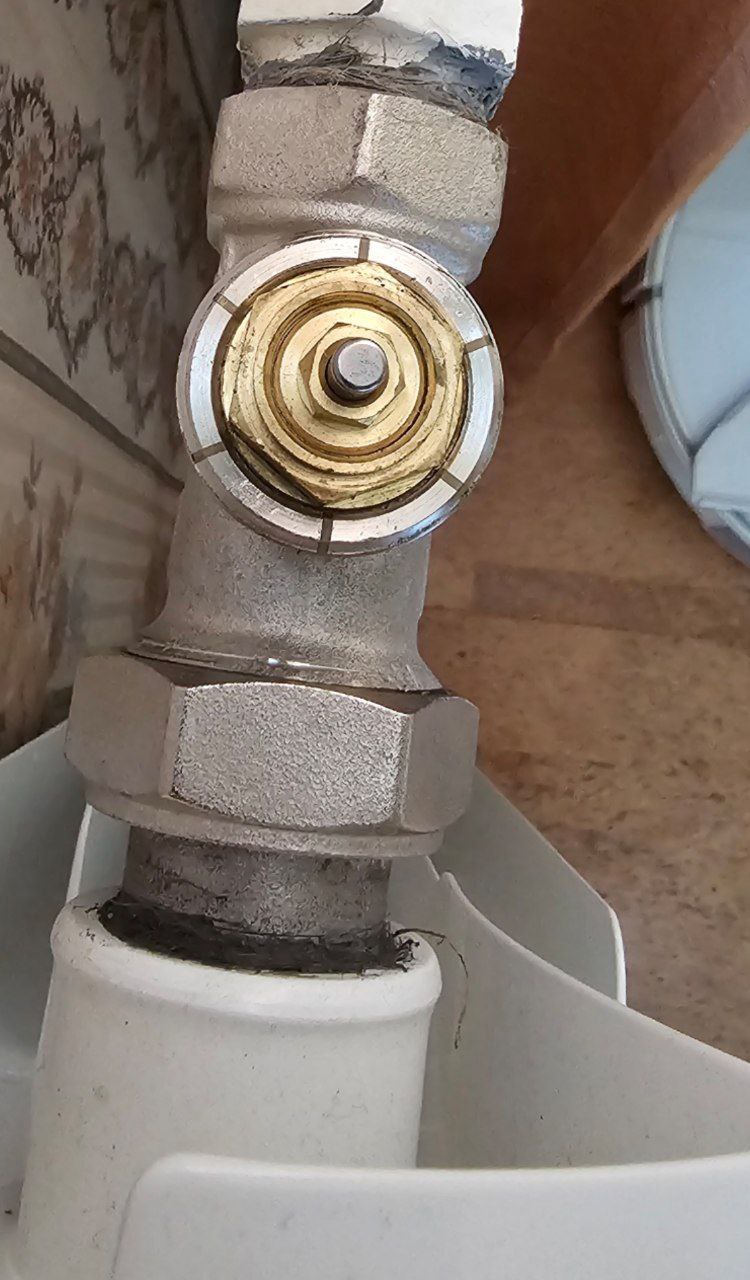 5300870653181822474