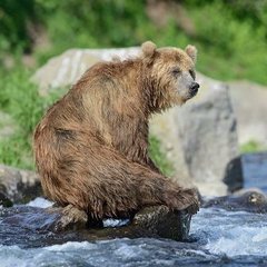 Аватар пользователя