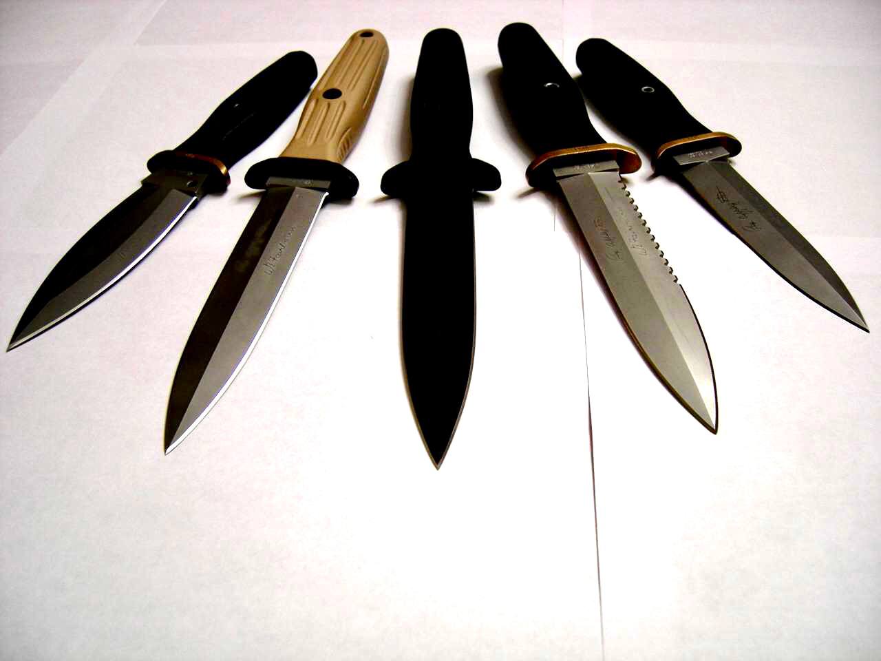 photo_2025-11-02_01-17-59