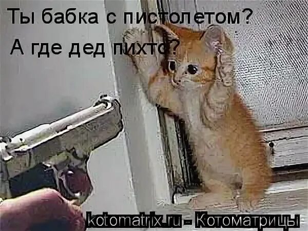1000036571