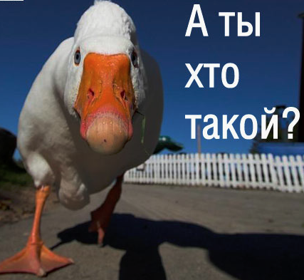 Снимок экрана 2026-07-28 в 17.32.07
