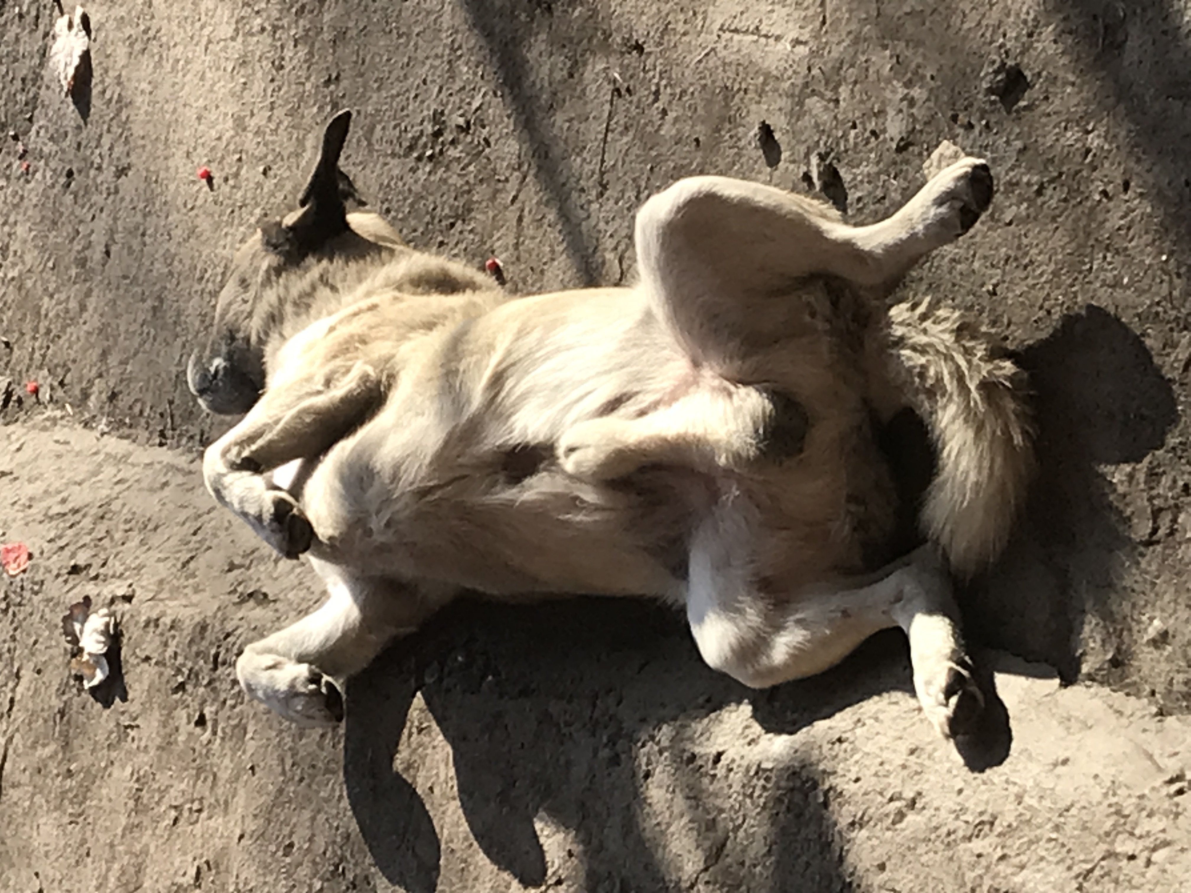 0E68C861-35AE-4F73-BB6F-058BA026E3FC