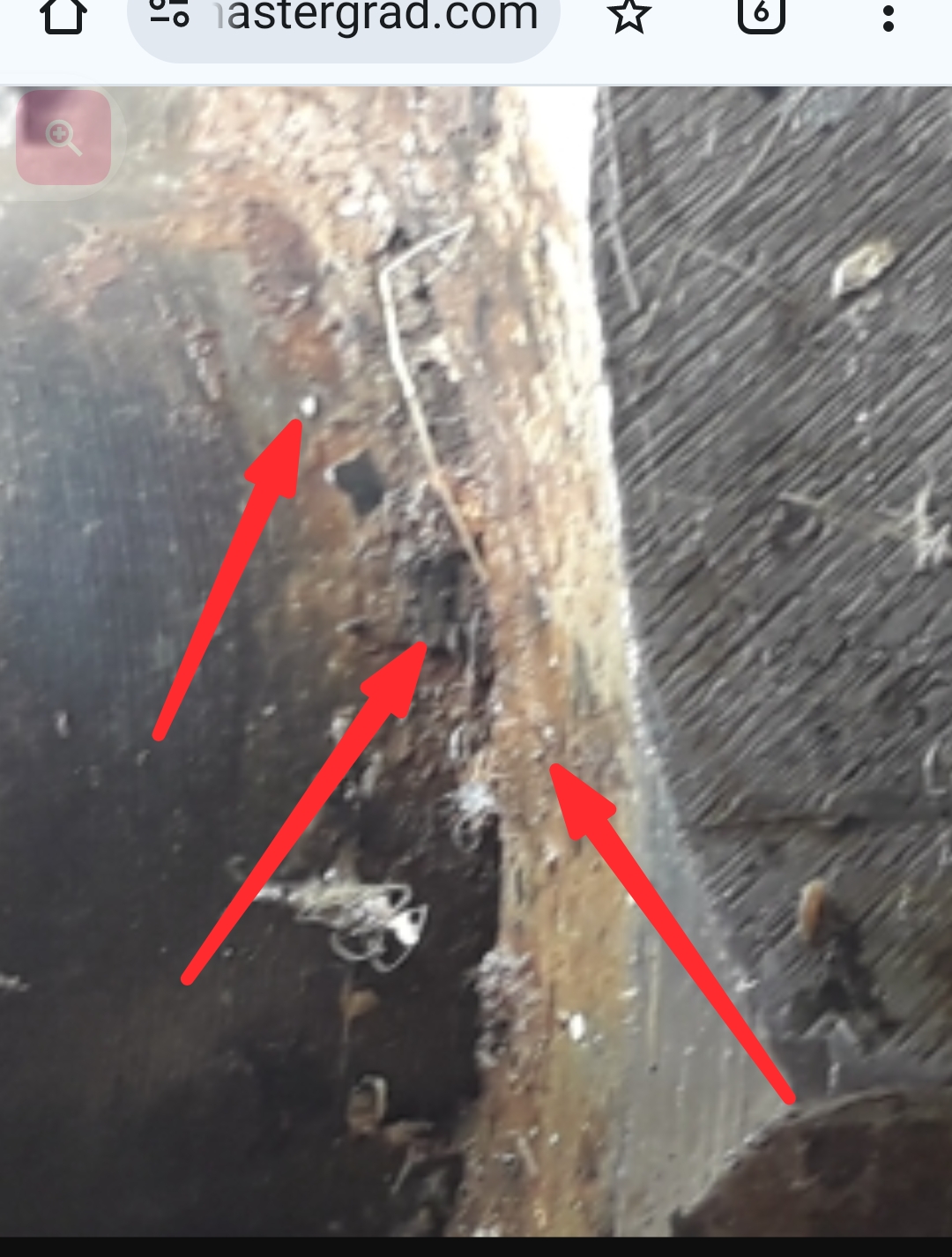 Screenshot_20251106-171958