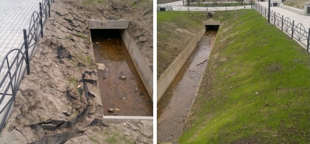 Использование криогеля поможет озеленению северных городов