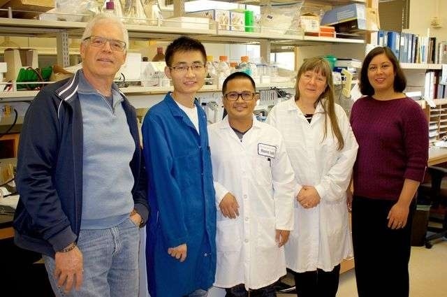 Ученые разработали быстрый и эффективный способ очищения воды