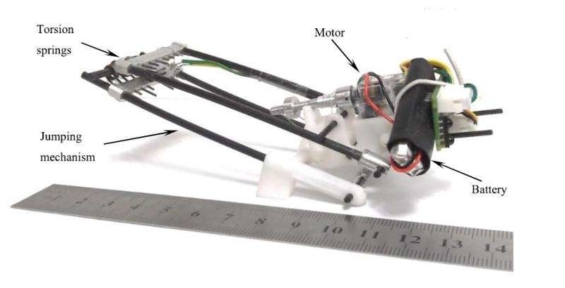 Робот-саранча поставил новый рекорд по прыжкам в высоту