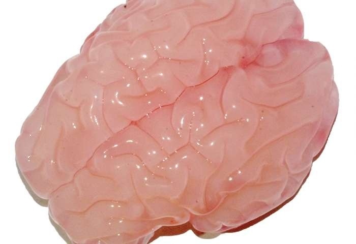 Ученые создали модель человеческого мозга с наиболее точной структурой