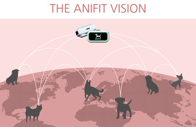 AniFit – персональный фитнес-тренер для домашнего питомца